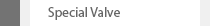 Special Valve